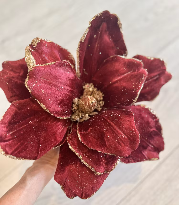 Magnolia vinröd med guld