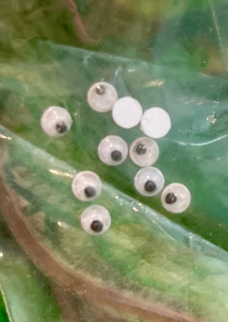 Wiggling eyes