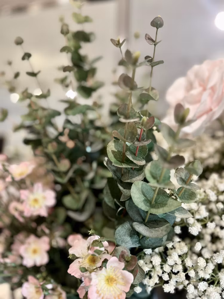 Eucalyptus
