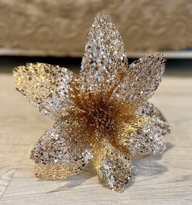 Poinsettia roseguld