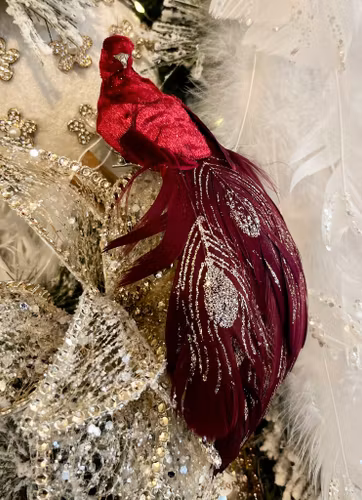 Påfågel liten vinröd