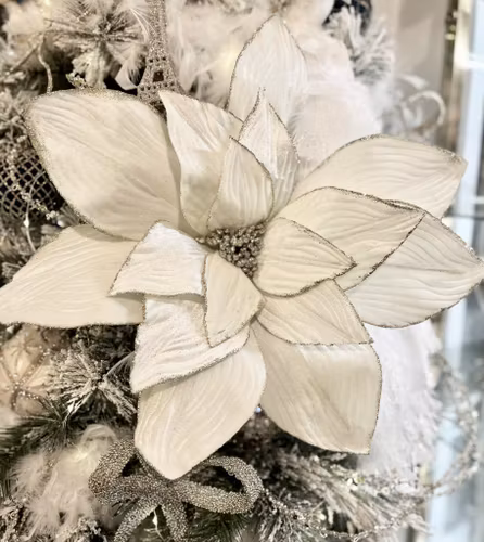 Poinsettia sammet offwhite jättestor