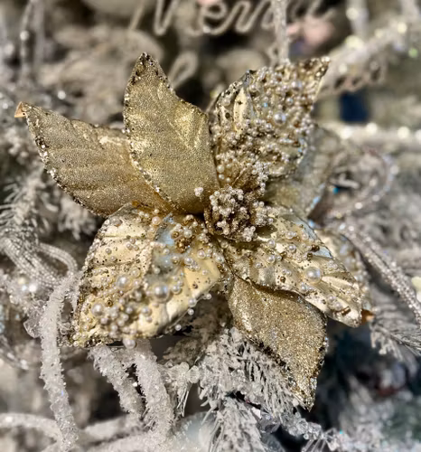 Poinsettia guld med pärlor