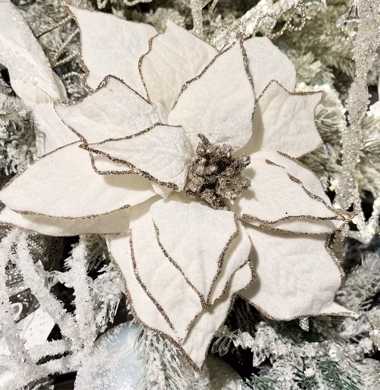 Poinsettia vit sammet