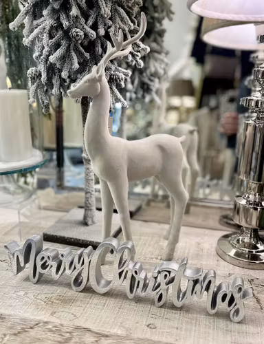 Merry Christmas silver