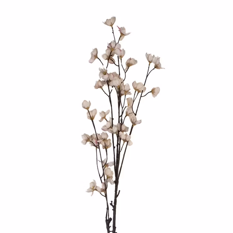 Gren ljusrosa blommor