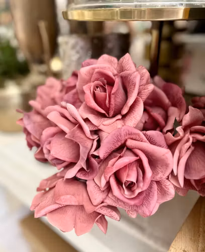 Rosa ros