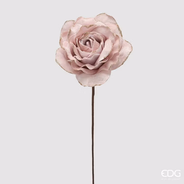 Ros rosa