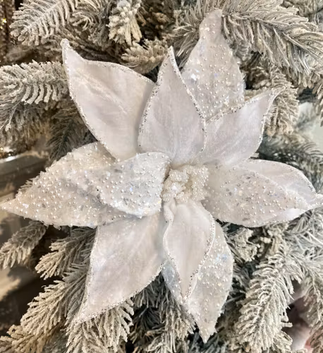 Poinsettia vit pärlor