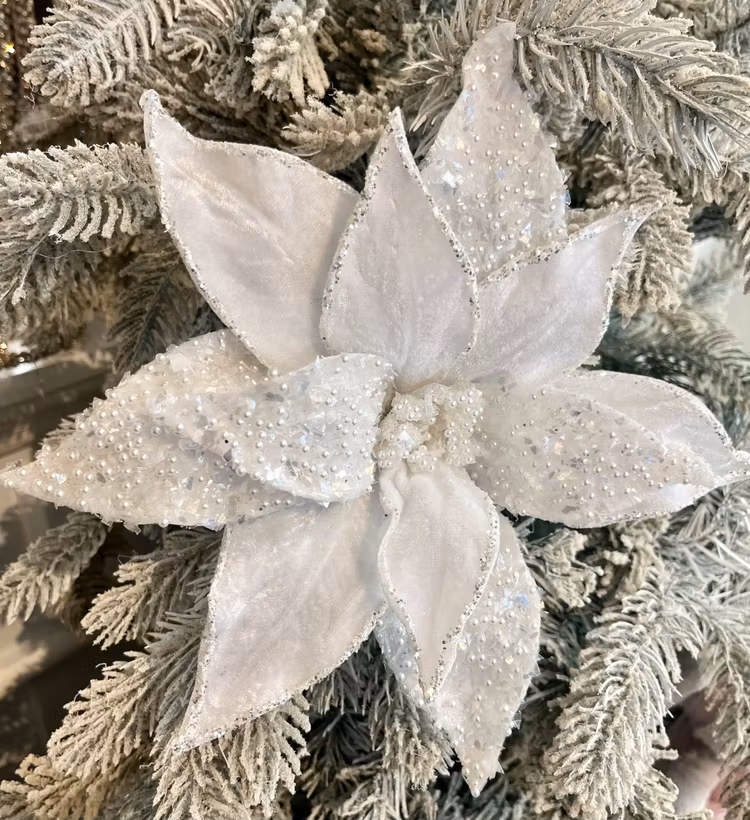 Poinsettia vit pärlor