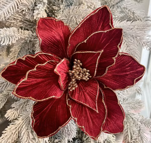 Poinsettia vinröd