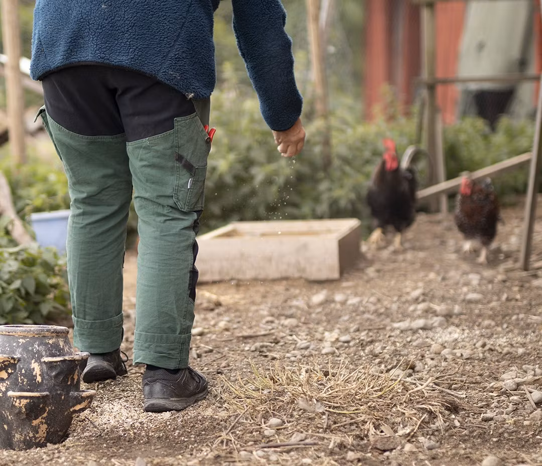 SÄLJES: Ava grön, strl 50, 800kr, art 2605