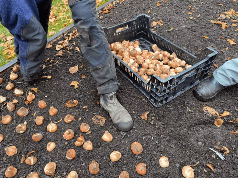 CircularMonday: Ellen och Mackens vänners meningsfulla och cirkulära arbete