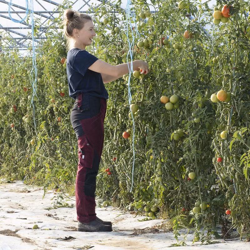 SÄLJES: Ava Vinröd strl 34 - Begagnad art. 2511