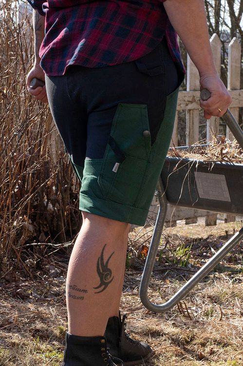 ANN Shorts Green