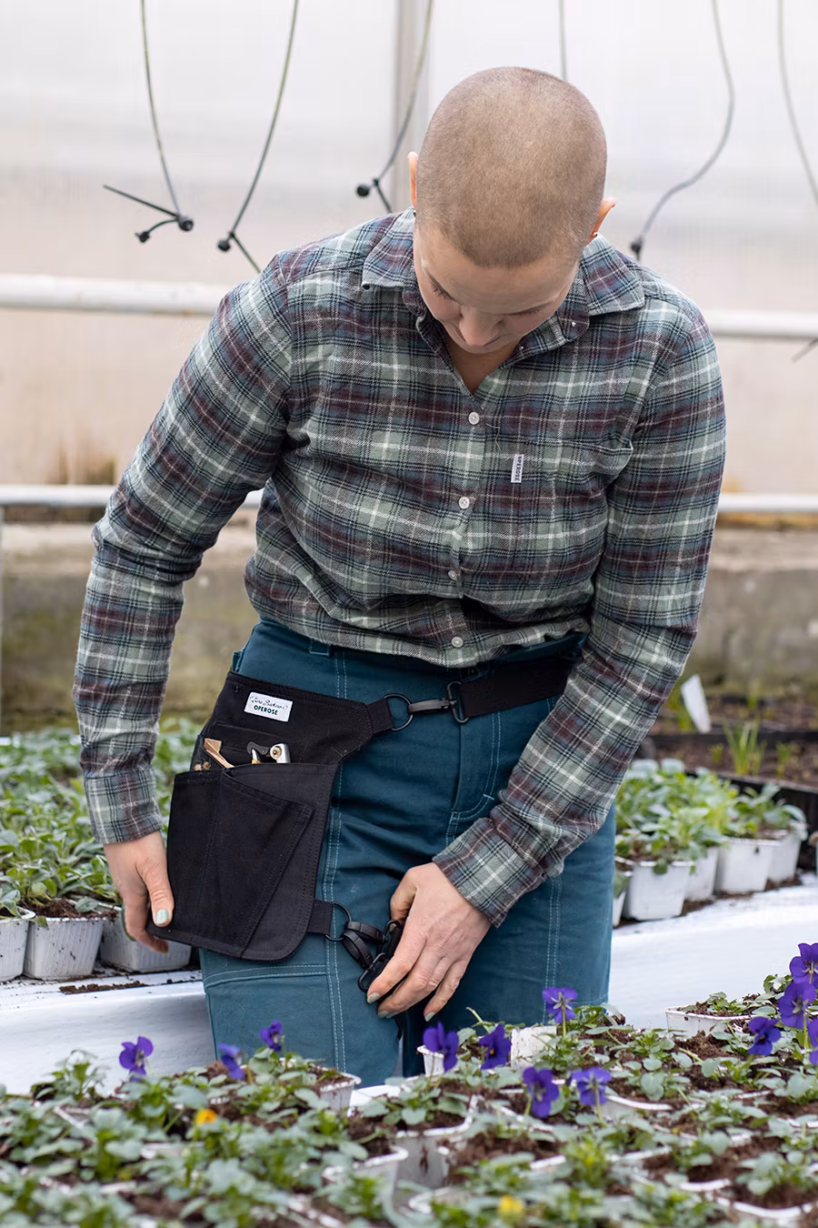 SARA bag green