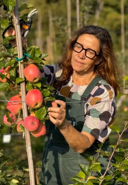 2a adventsvärd- MARIA med glögg