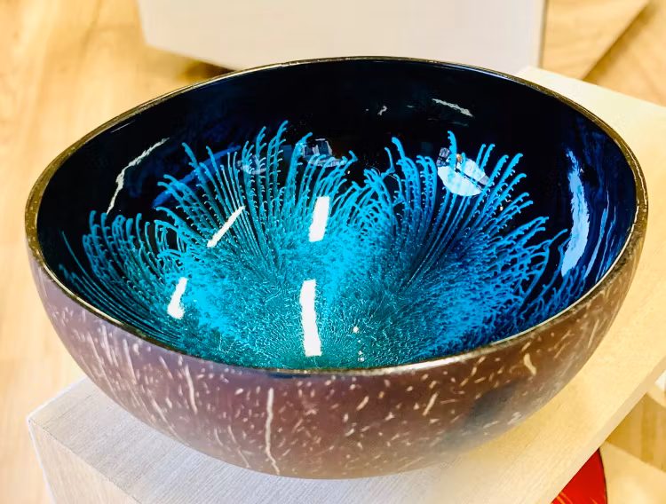 Kokosnötskål i olika färger