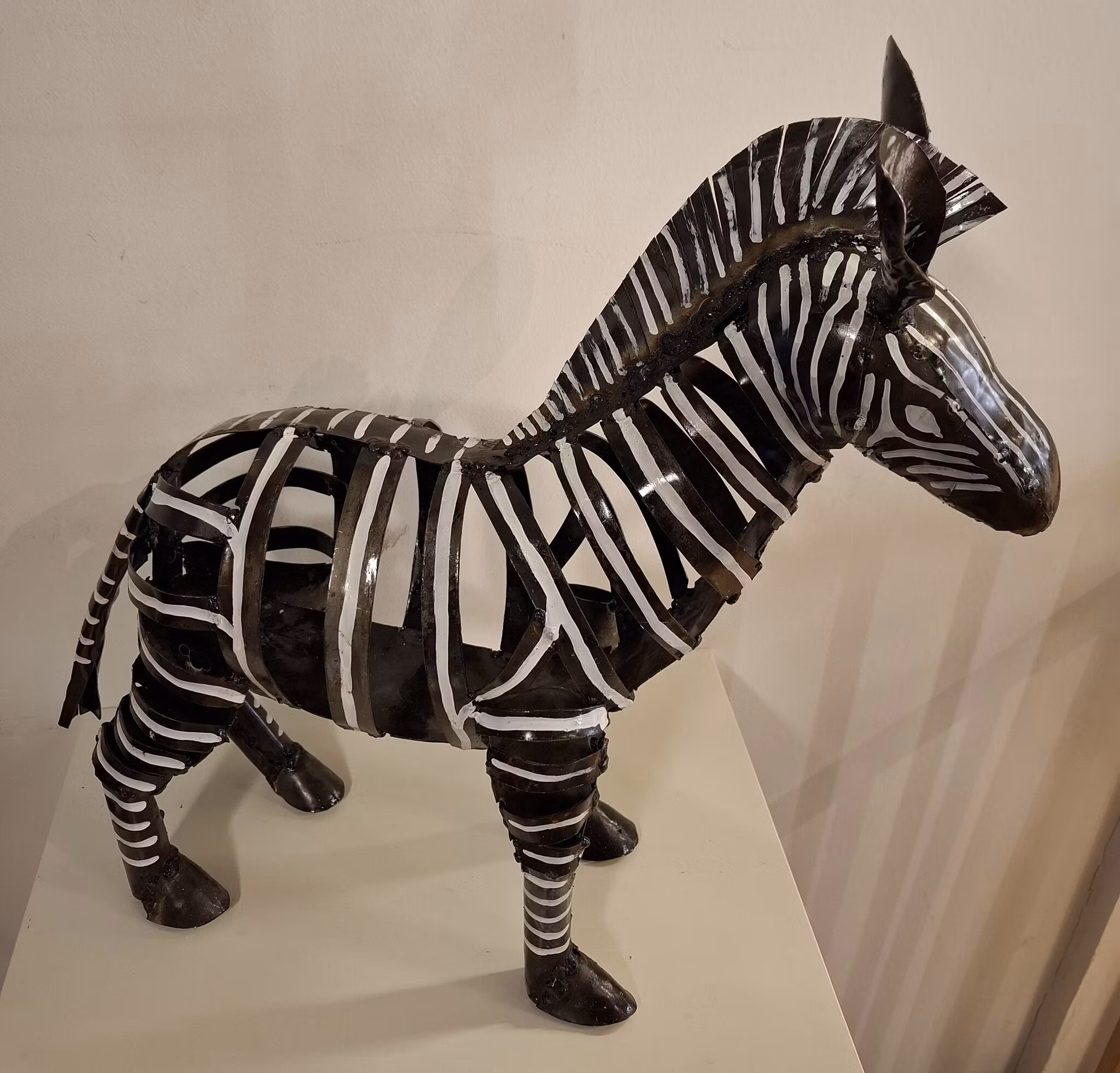 Zebra