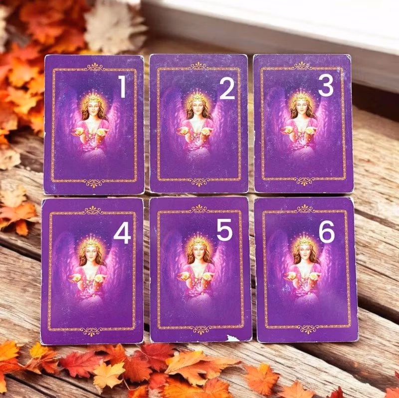 Veckans budskap 11-17/11