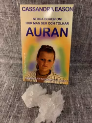 Stora boken om hur man ser och tolkar auran : kunskap är nyckeln till insikt