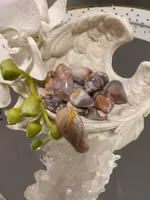 Rosa Bandagat/Rosa Botswanaagat