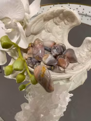 Rosa Bandagat/Rosa Botswanaagat