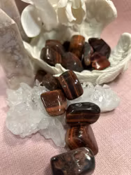 Röd tigeröga/oxöga