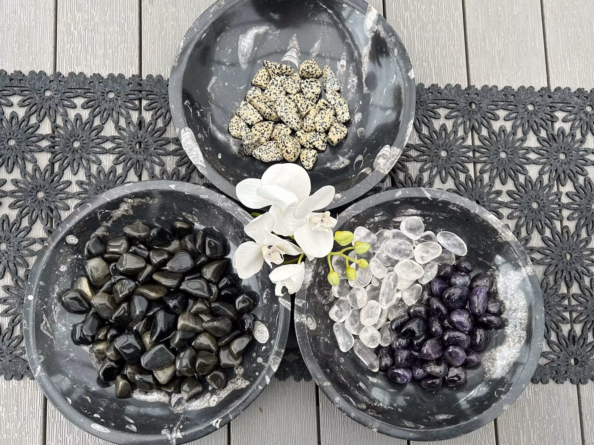 Ortoceratit Fossil, rund skål XL