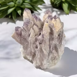 Ametist sugar fantom kluster