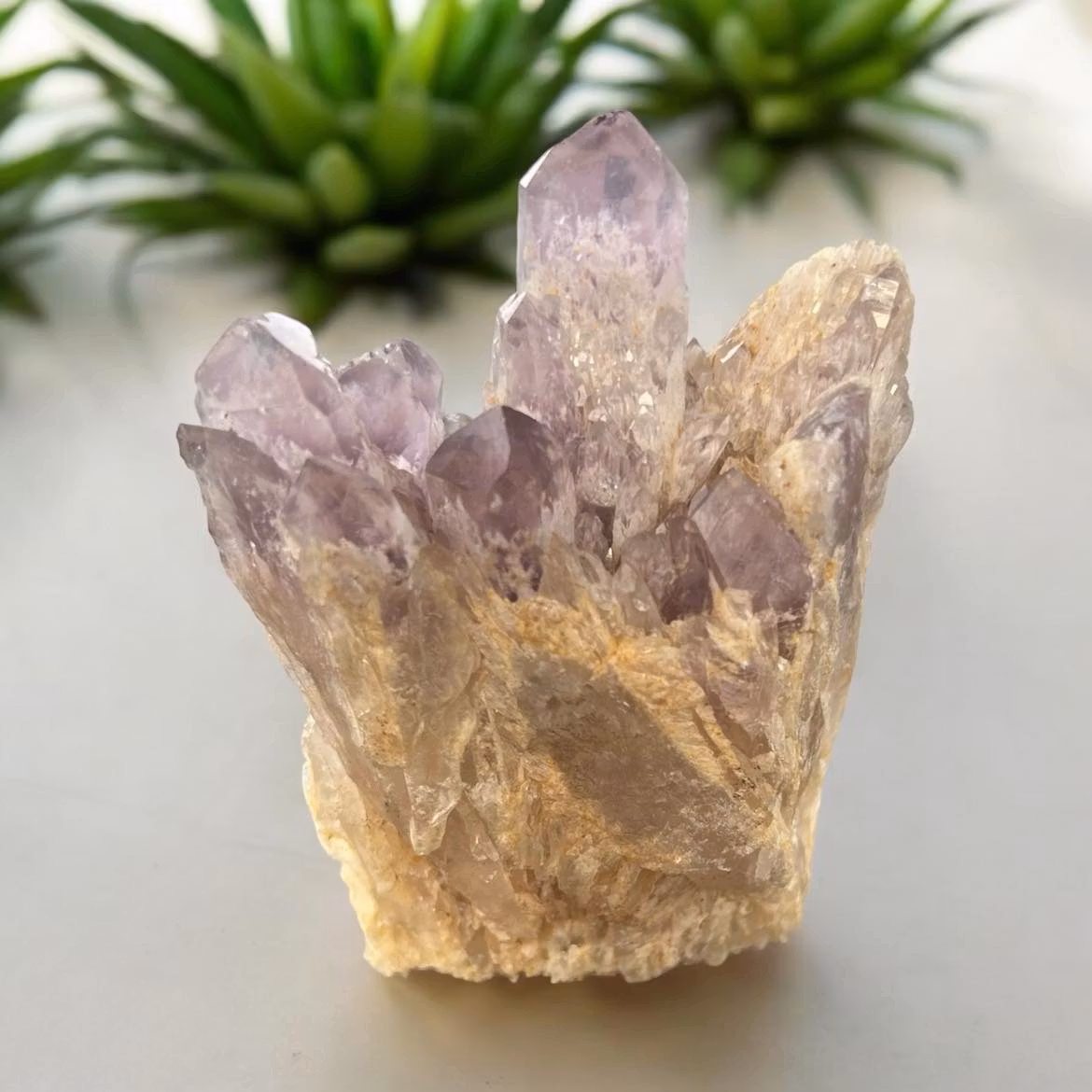 Ametist sugar fantom kluster