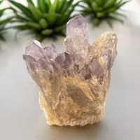 Ametist sugar fantom kluster