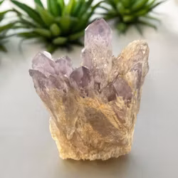 Ametist sugar fantom kluster