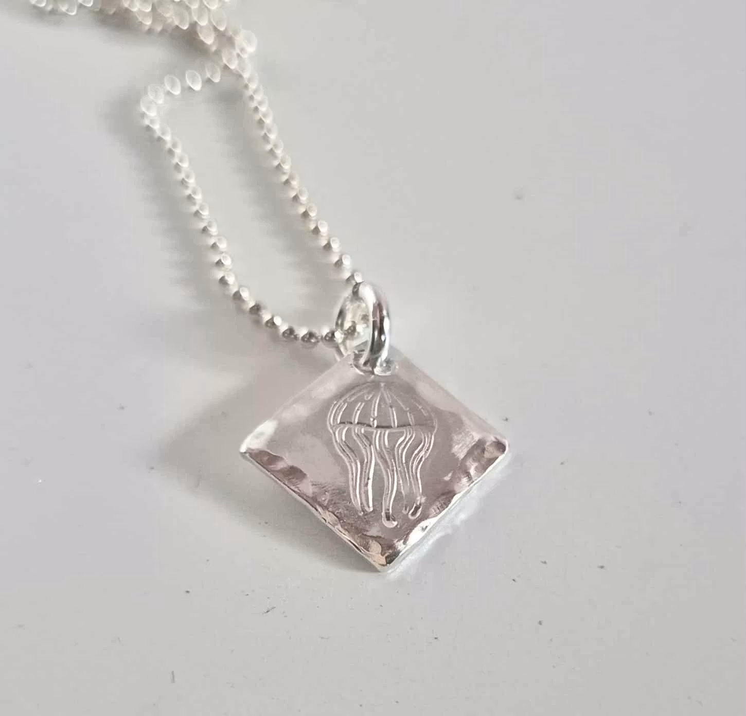 Maneten en fin silverberlock med en brännmanet