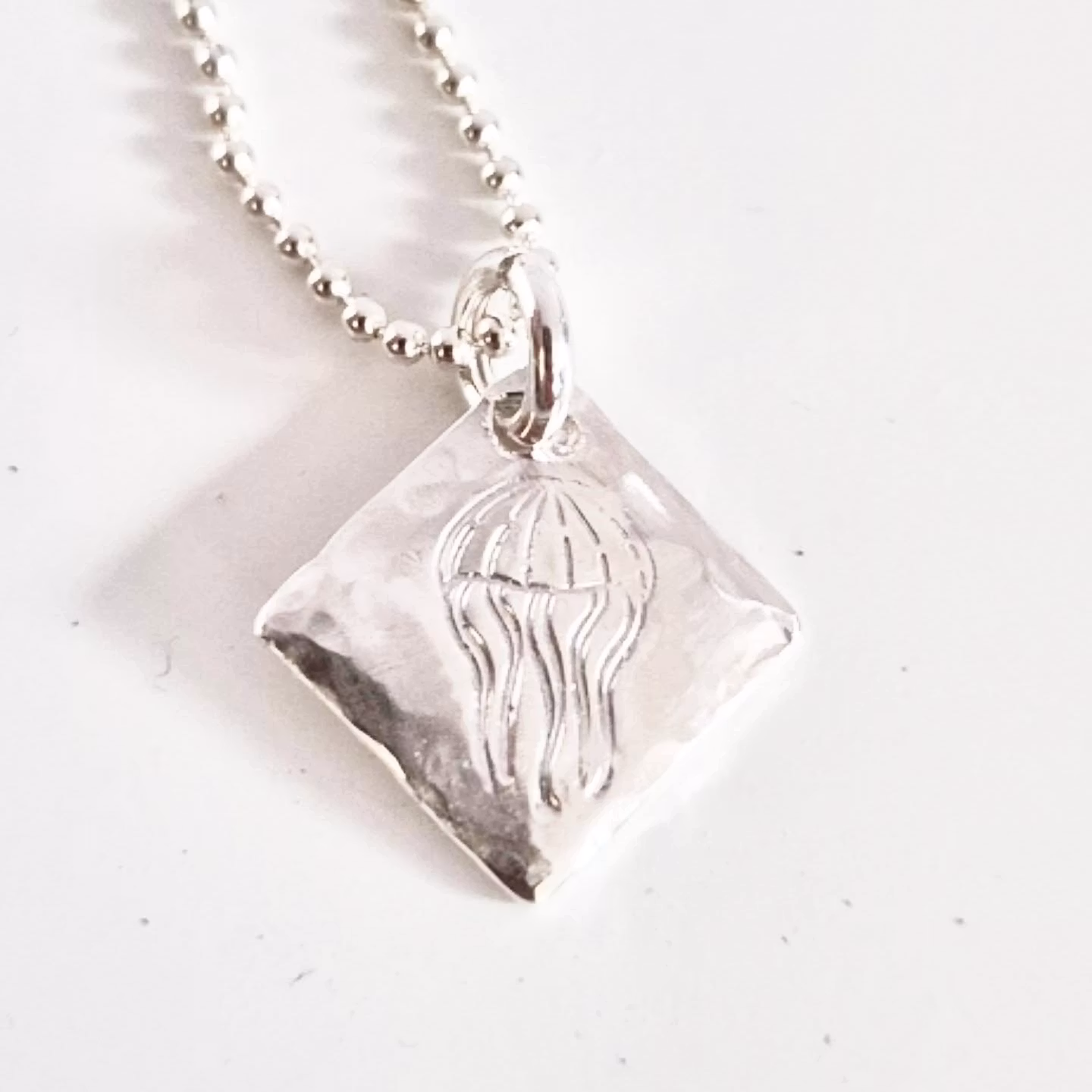 Maneten en fin silverberlock med en brännmanet