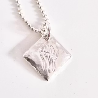 Maneten en fin silverberlock med en brännmanet