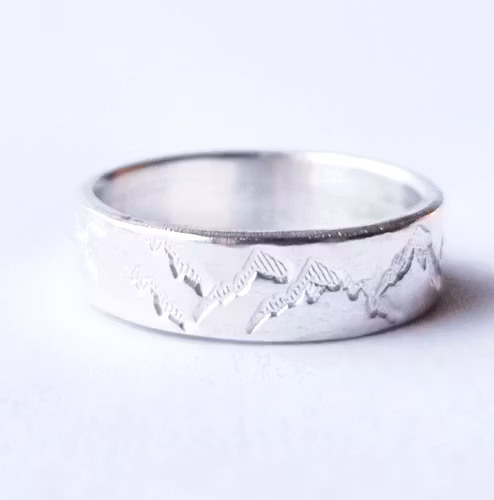 Fjällen mellanbred silverring med fjäll och berg