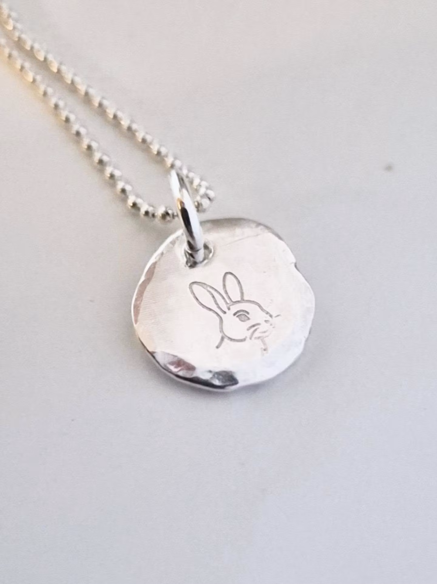 Bunny silverkaninen