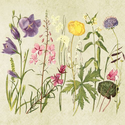 Servett Sommaräng 33x33