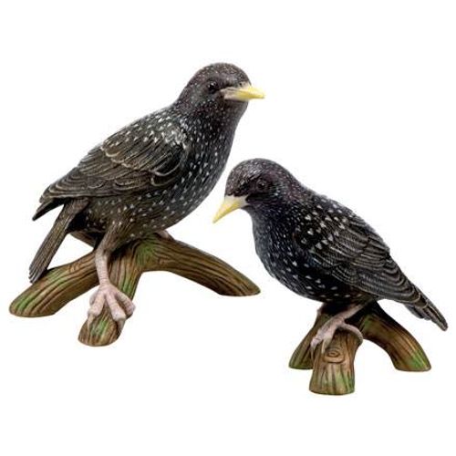 Bird of the Year 2018 Set