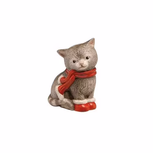 Tomcat Ruby
