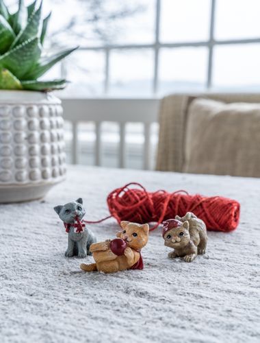 Katter Jul 3-pak