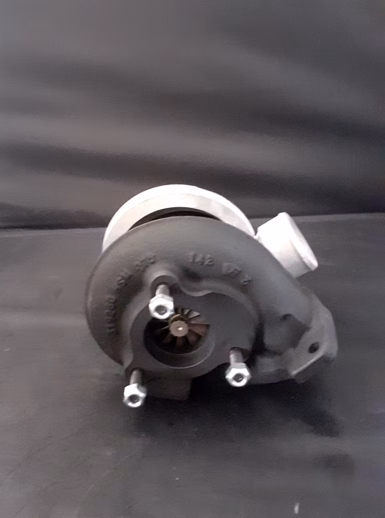 319246 / 319261 S100 BorgWarner Motor : BF4M2011 ( Bytesturbo )