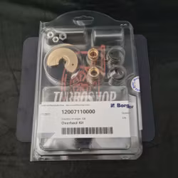 12007110000 B2 BorgWarner repsats