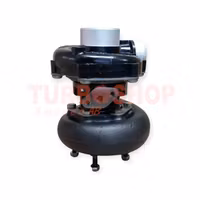 465493-5002S Garrett TA3130 Renovering