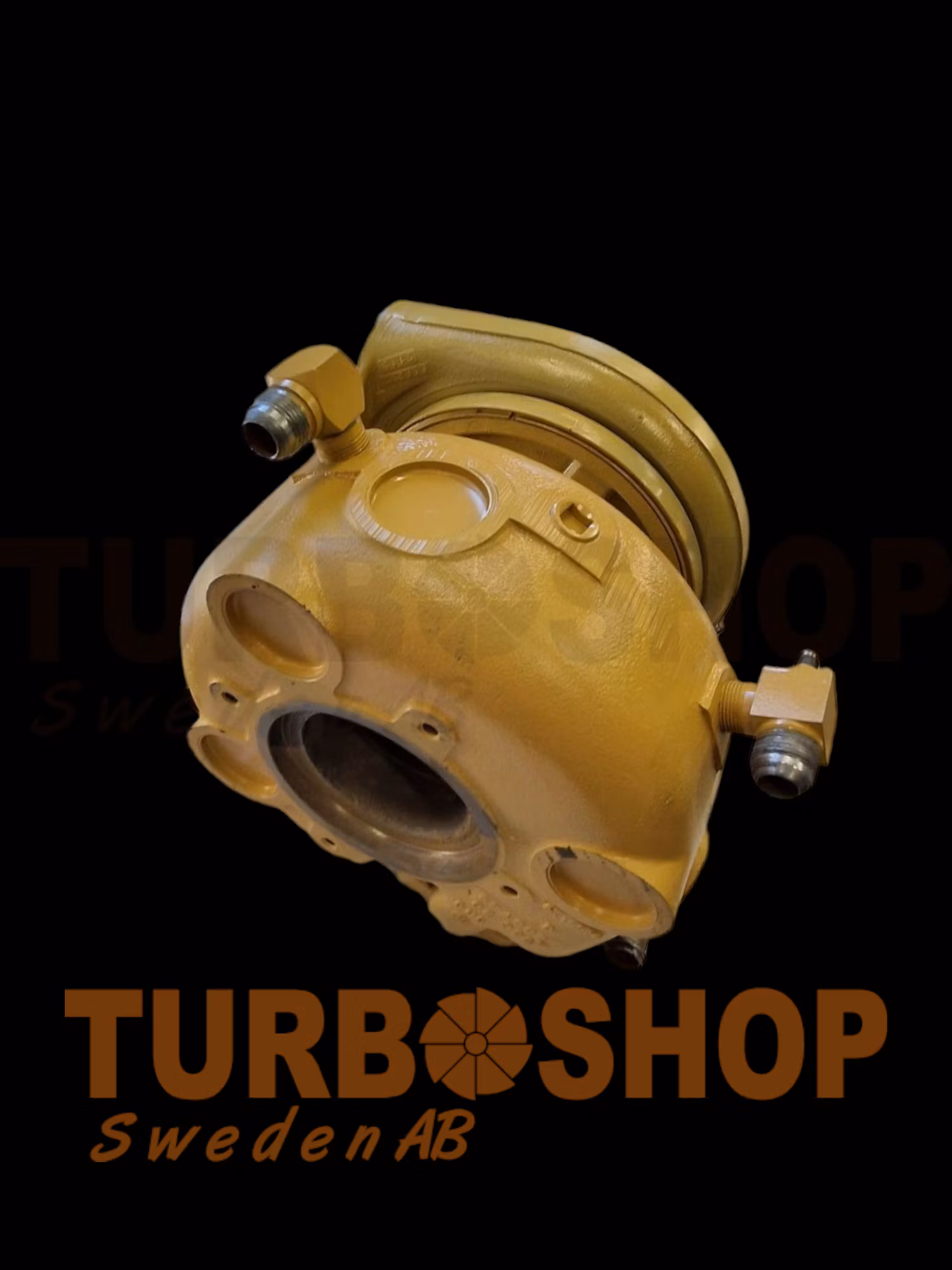 166462 - BorgWarner S4T0W59 - Renovering