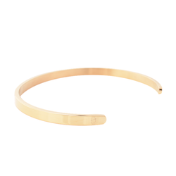 Stålarmband 5mm Gold