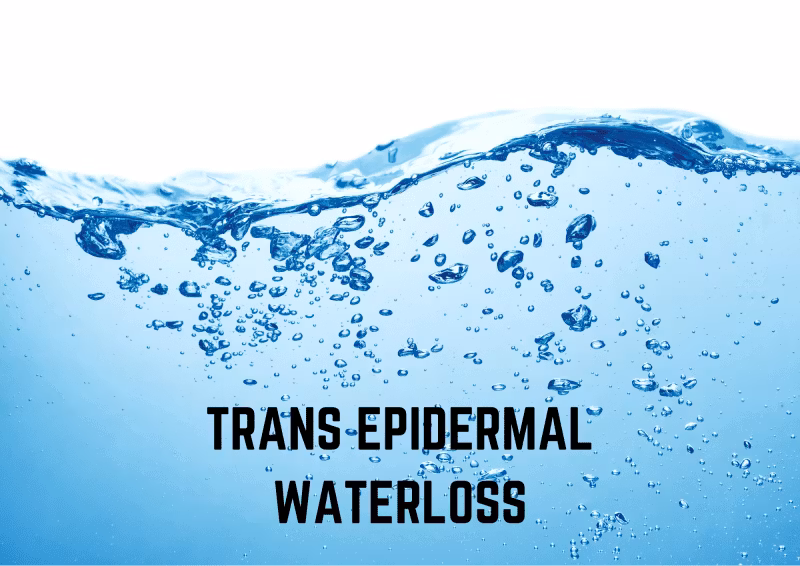 Transepidermal Waterloss - TEWL