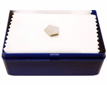 Sartorius YCW252 Calibration Weights