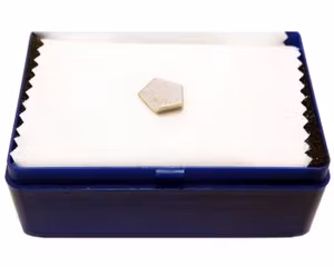 Sartorius YCW252 Calibration Weights